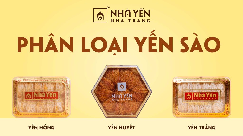 Phân loại sản phẩm Yến Sào
