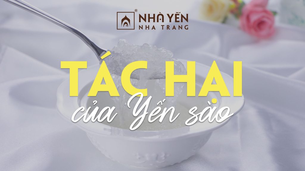 Tác hại của yến sào