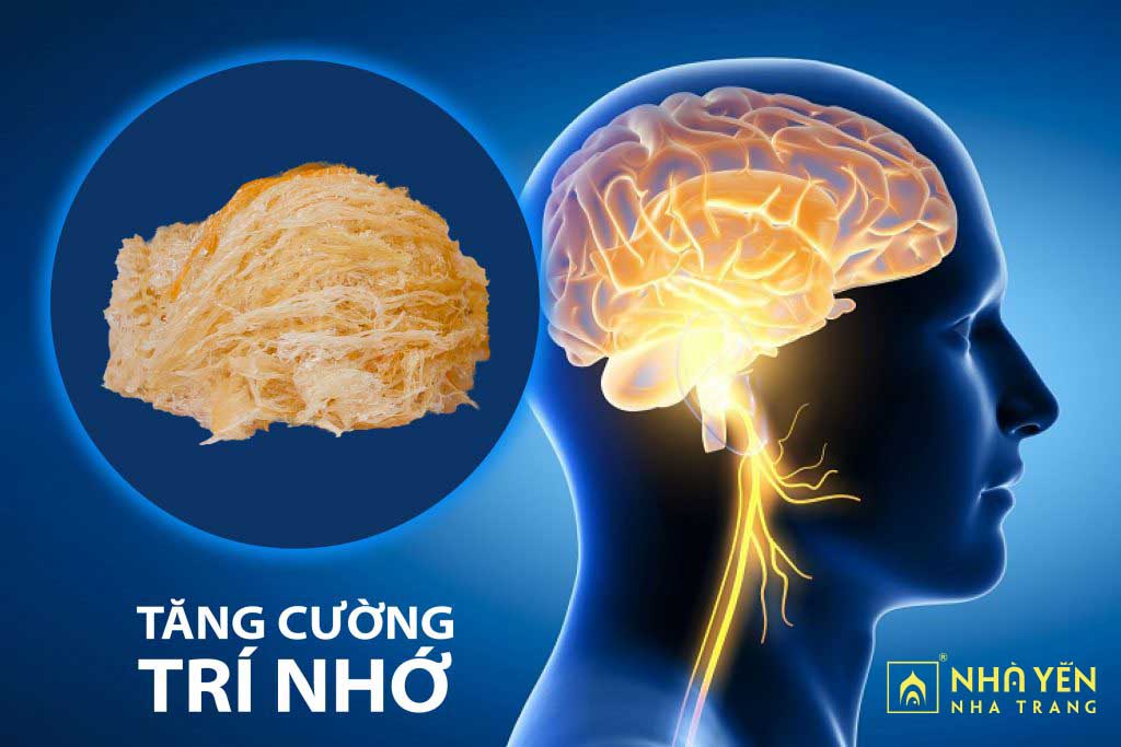 Yến Sào Nha Trang