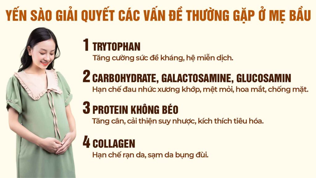 Yến Sào Khánh Hòa